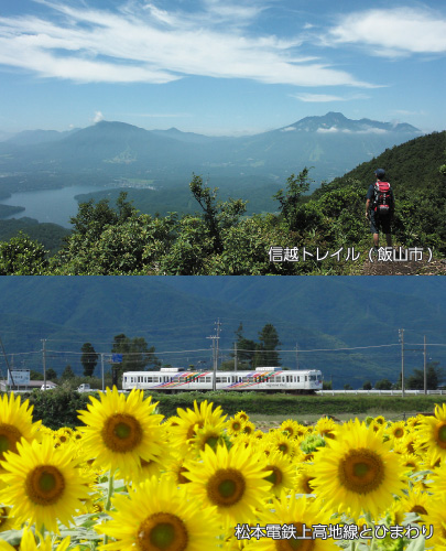信越トレイル（飯山市）、松本電鉄上高地線とひまわり