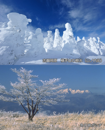 志賀高原 横手山の樹氷（山ノ内町）、冬の高ボッチ